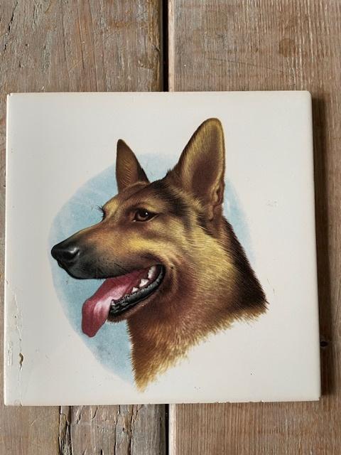Tegeltje hond / herdershond. Mosa nederland wandtegeltje., Ophalen