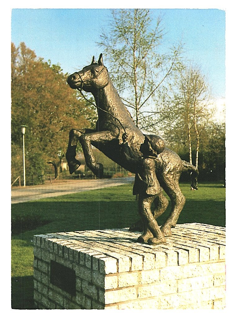 988371 Roggel 1971 L t Paerdje van de RABO Bank Onbeschreven