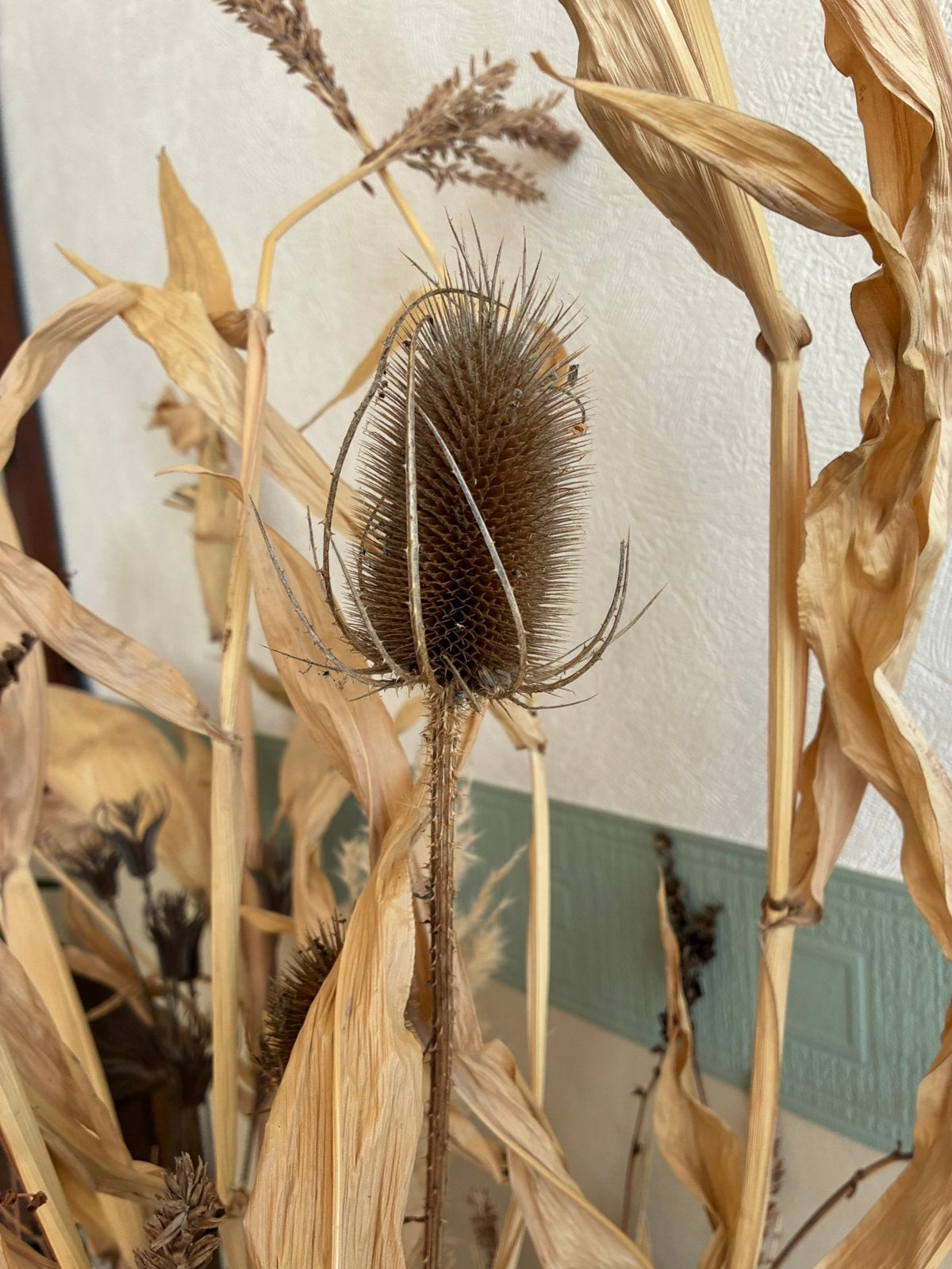 Natuurlijk gedroogd decoratiemateriaal, Ophalen, Gebruikt