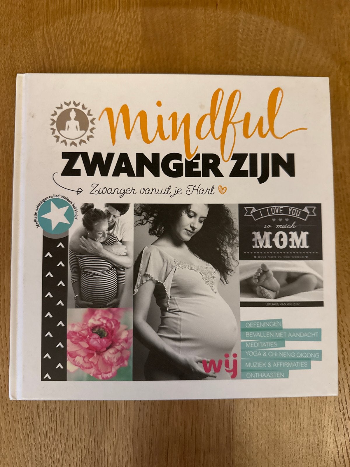Mindful Zwanger Zijn - Zwanger vanuit je Hart, Ophalen, Zo goed als nieuw, Zwangerschap en Bevalling