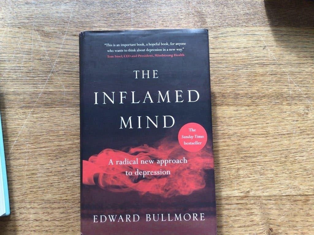 Boek: The inflamed mind, Edward Bullmore, Ophalen of Verzenden, Zo goed als nieuw