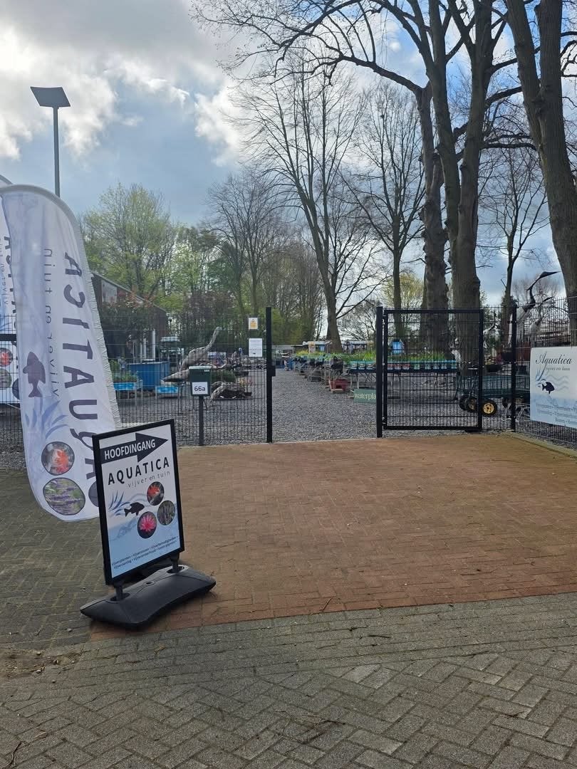 Vijverplanten/Zuurstofplanten Specialist Aquatica Schimmert, Ophalen, Nieuw