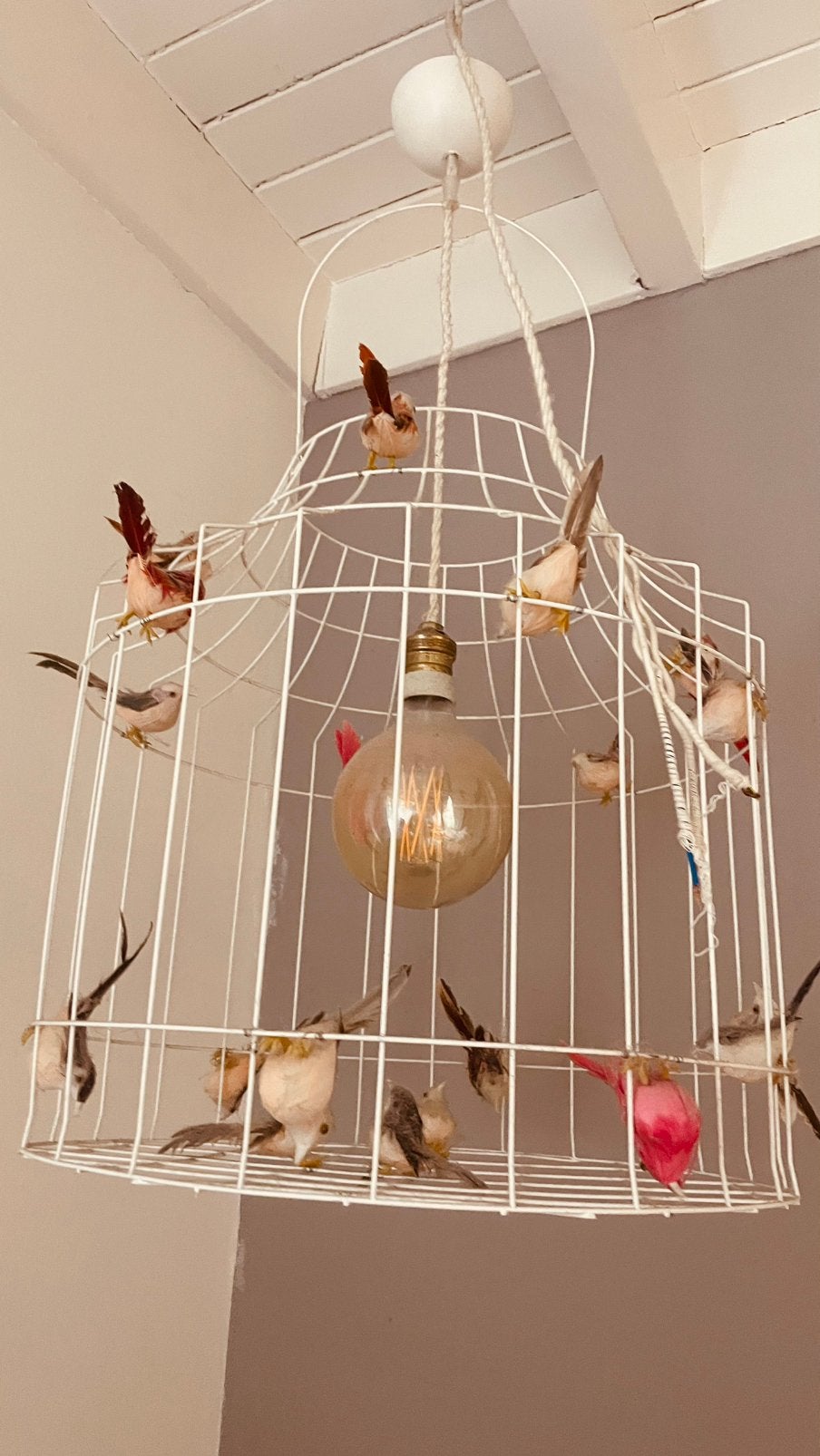 Te koop: hanglamp, Dutch Lighting, vogel, Ophalen of Verzenden