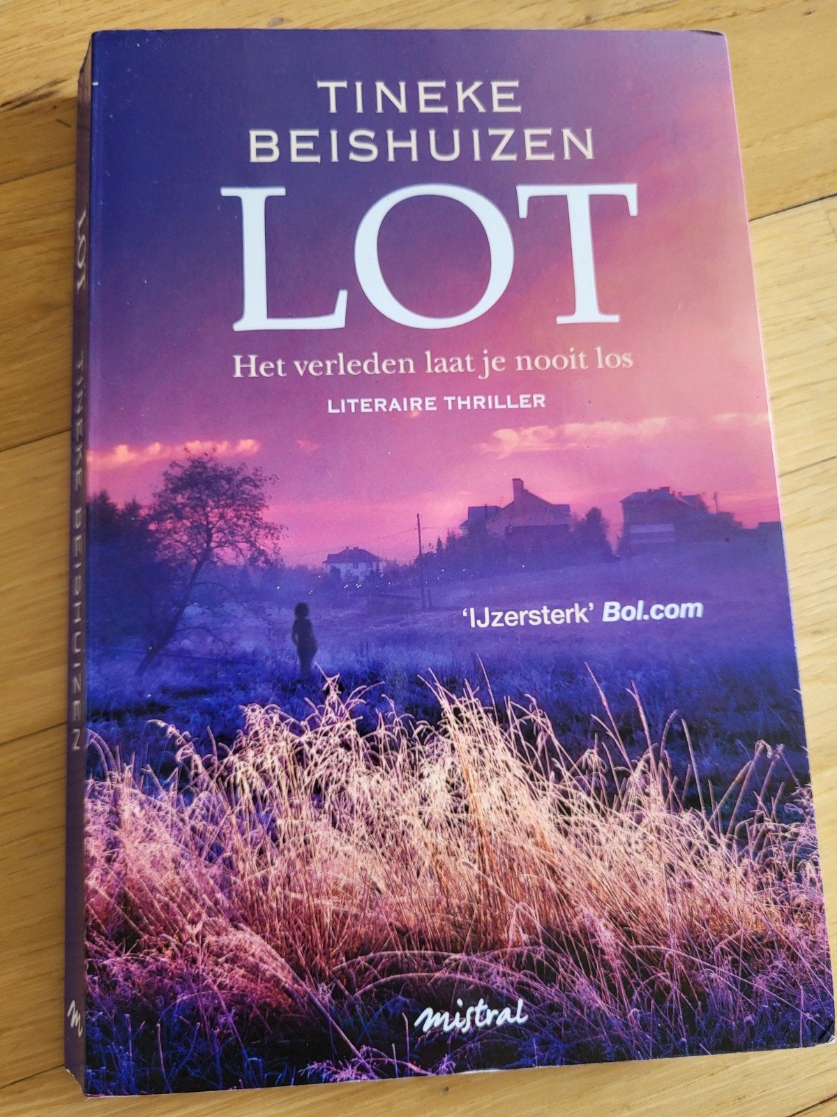 Lot - Tineke Beishuizen (Literaire thriller, softcover), Boeken, Gelezen, Ophalen of Verzenden, Nederland, Tineke beishuizen