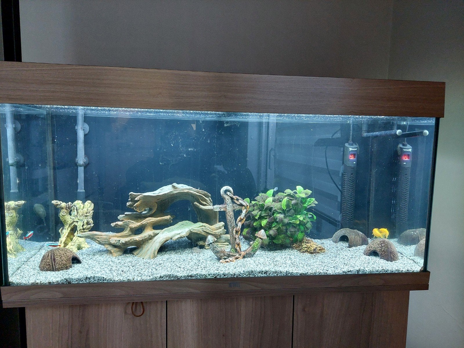 Juwel Rio 180 met inhoud en toebehoren te koop ., Dieren en Toebehoren, Vissen | Aquaria en Toebehoren, Ophalen, Gebruikt, Gevuld zoetwateraquarium
