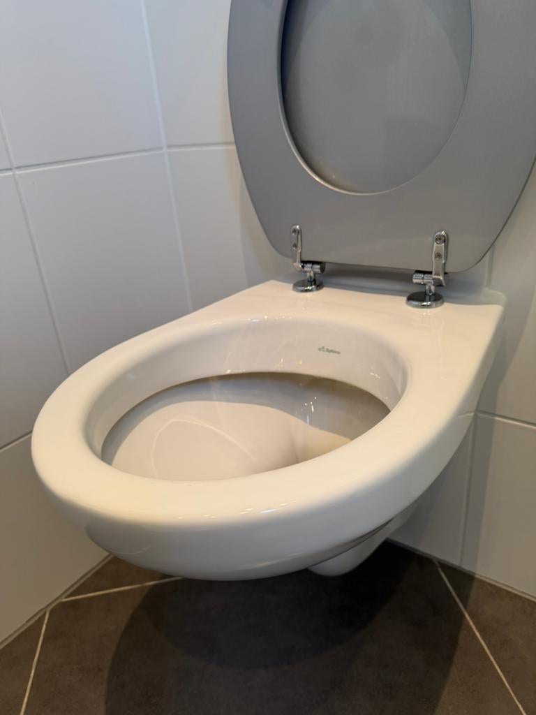 Te koop hangende toiletpot Sphinx 48 cm., Ophalen of Verzenden, Gebruikt, Toilet