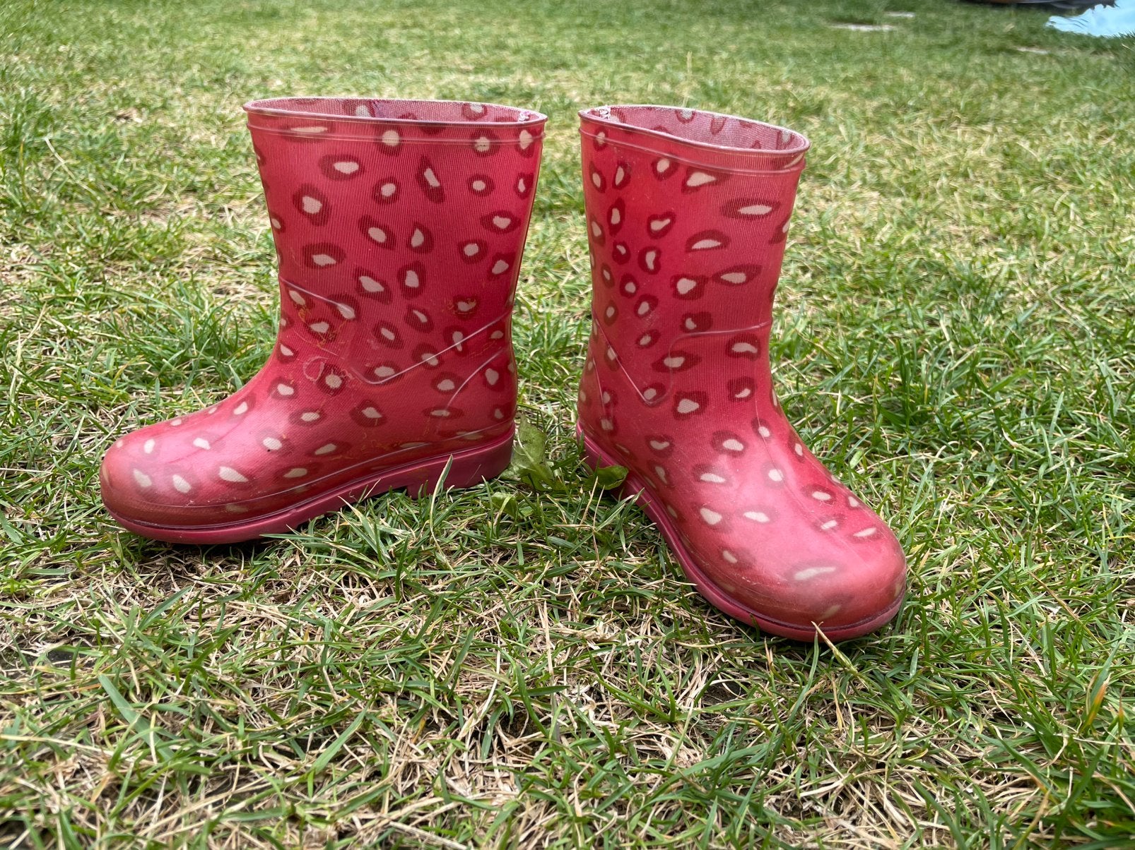 Regenlaarsjes maat 22 hema, Ophalen, Zo goed als nieuw, Jongen of Meisje, Laarzen