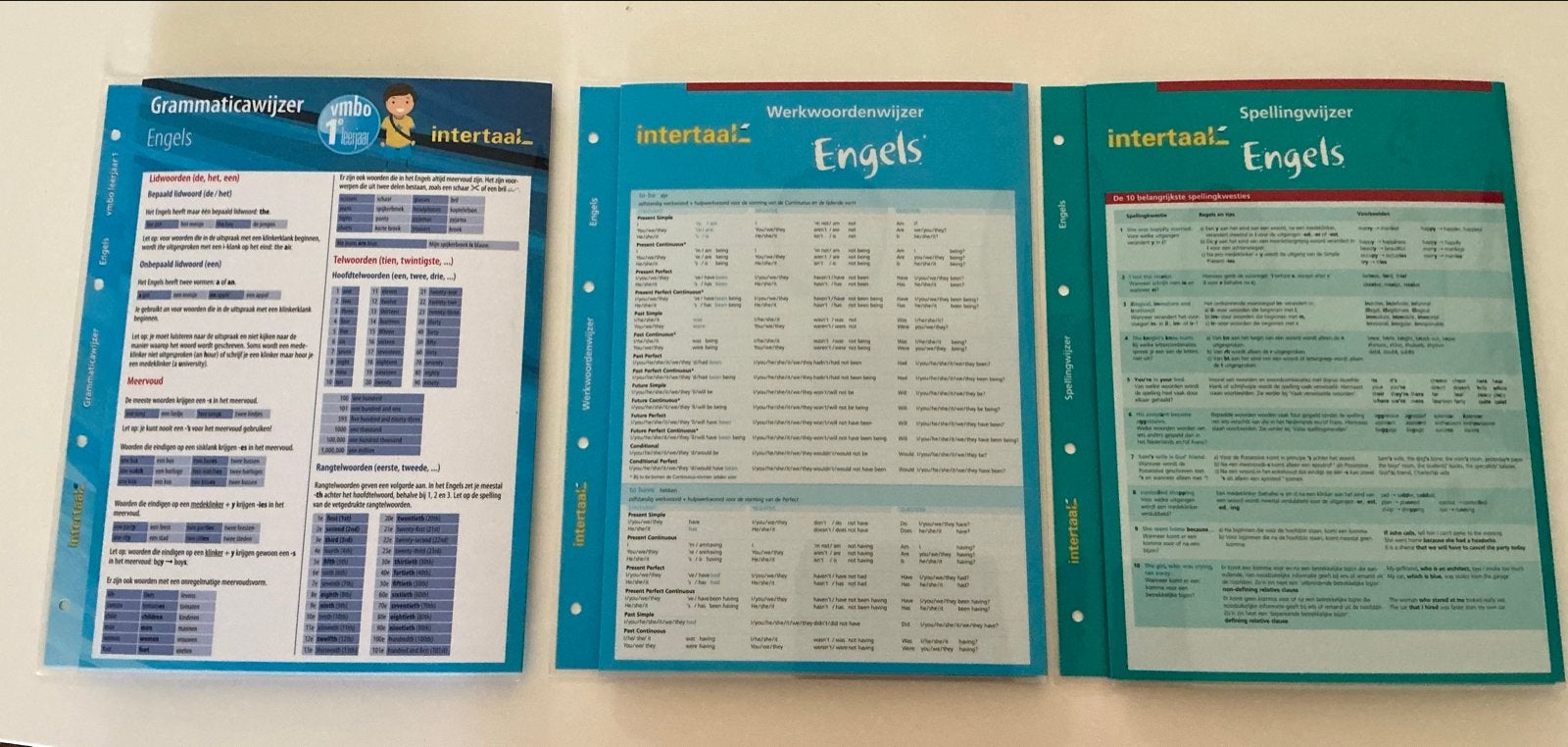 Engelse Grammatica-, Werkwoorden- en Spellingwijzer set v 3, Ophalen of Verzenden, Zo goed als nieuw