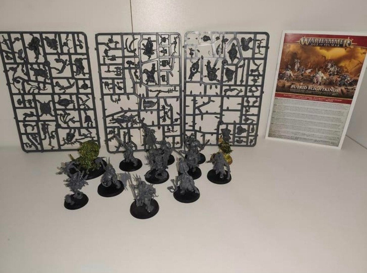 Warhammer Age of Sigmar Aos Maggotkin of Nurgle, Hobby en Vrije tijd, Wargaming, Ophalen of Verzenden, Warhammer, Geverfd