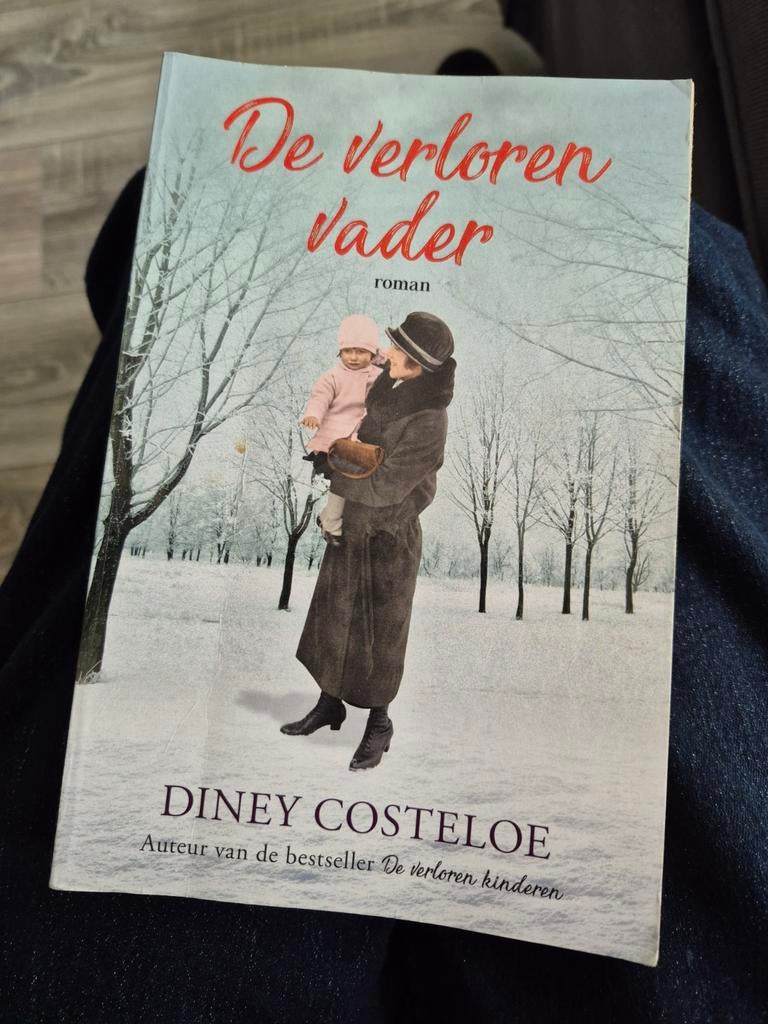 De Verloren Vader - Diney Costeloe (Roman), Ophalen of Verzenden, Gelezen, Diney Costeloe, Europa overig