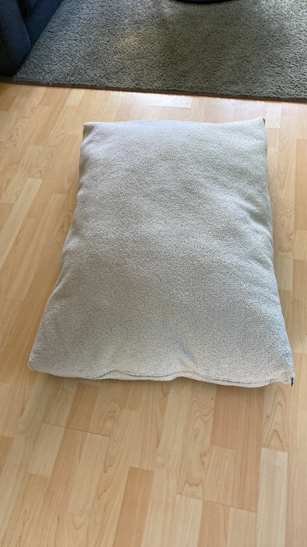 Kussen voor hondenmand NIEUW!!, Verzenden, Nieuw