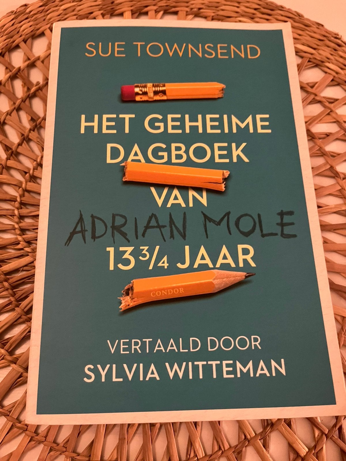 Het geheime dagboek van Adrian Mole 13 3/4 jaar, Ophalen of Verzenden, Zo goed als nieuw, Sue Townsend