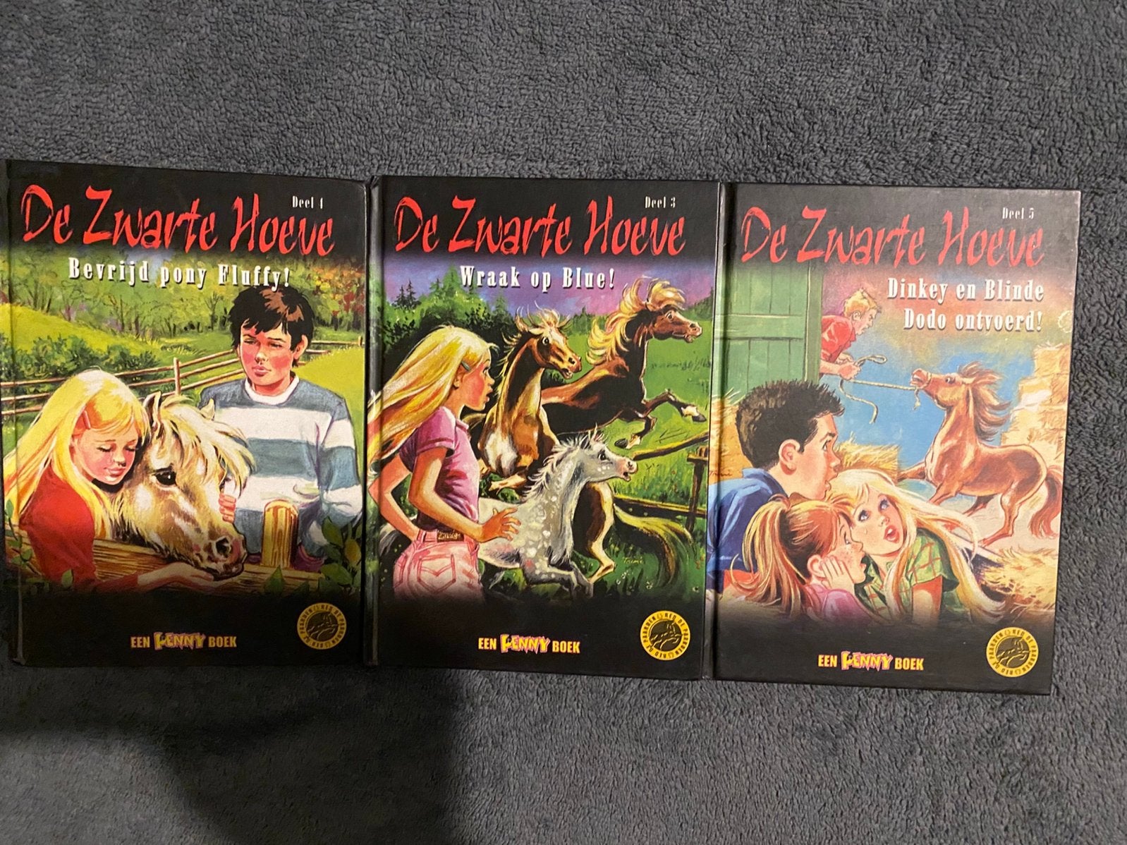 Kinderleesboeken De Zwarte Hoeve, Ophalen of Verzenden, Zo goed als nieuw