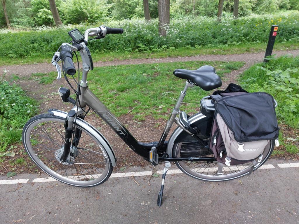 Nette Giant Twist Go + Double 7 versnellingen 28 inch wielen, Fietsen en Brommers, Elektrische fietsen, Minder dan 47 cm, Ophalen