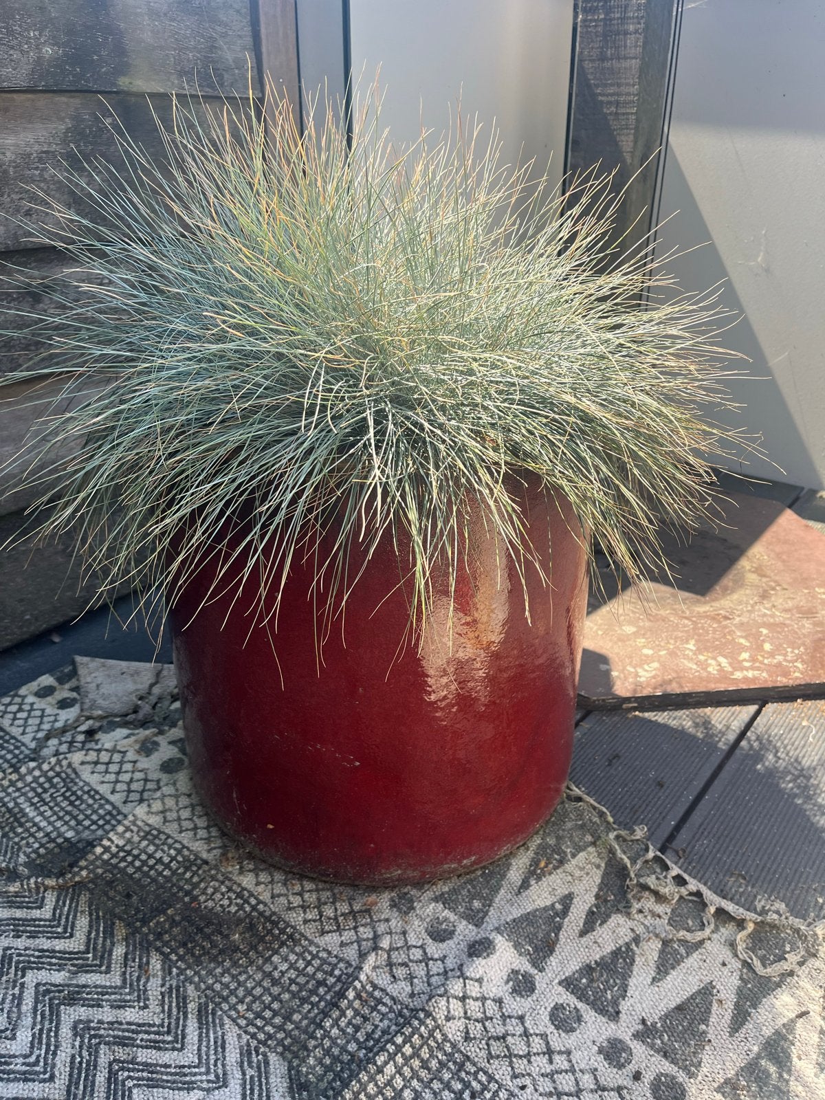 Mooie rode bloempot, Ophalen, 40 cm of meer, Rond, Binnen