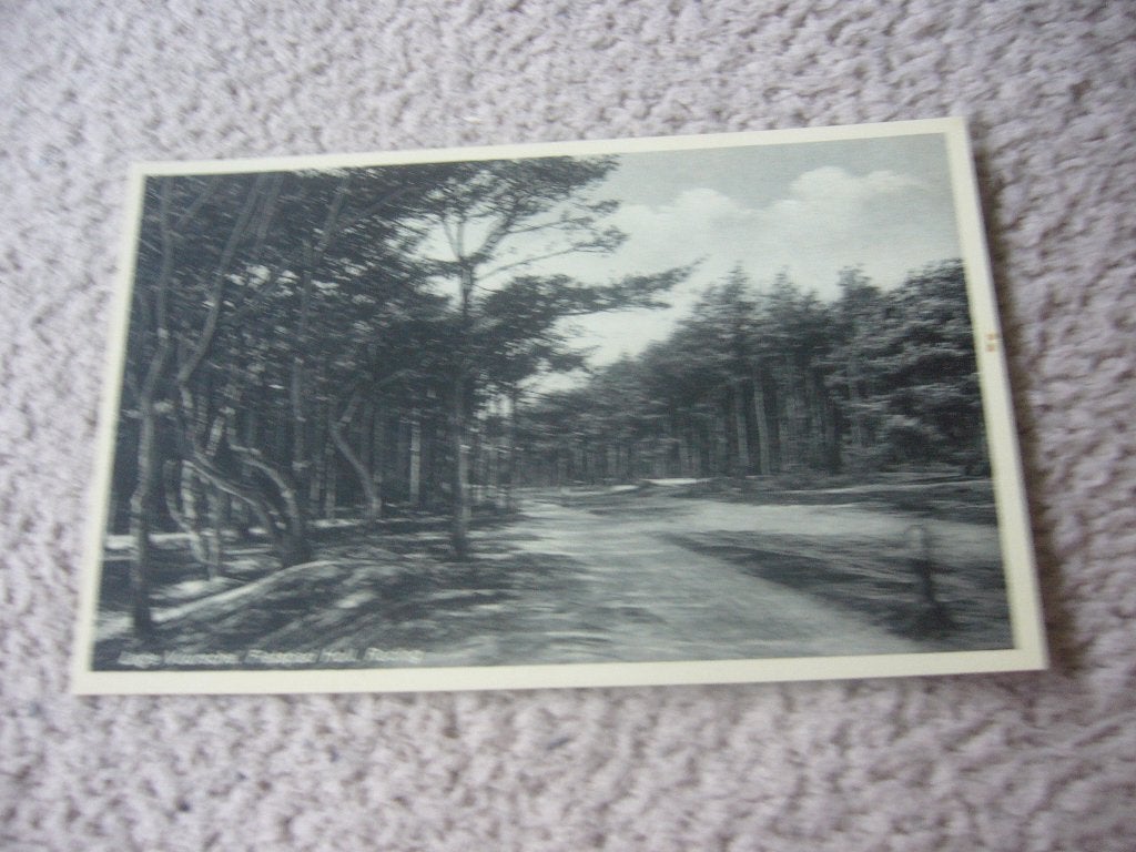 LAGE VUURSCHE  =  FIETSPAD HOLLANDSCHE RADING, Ophalen of Verzenden, 1920 tot 1940, Ongelopen, Utrecht