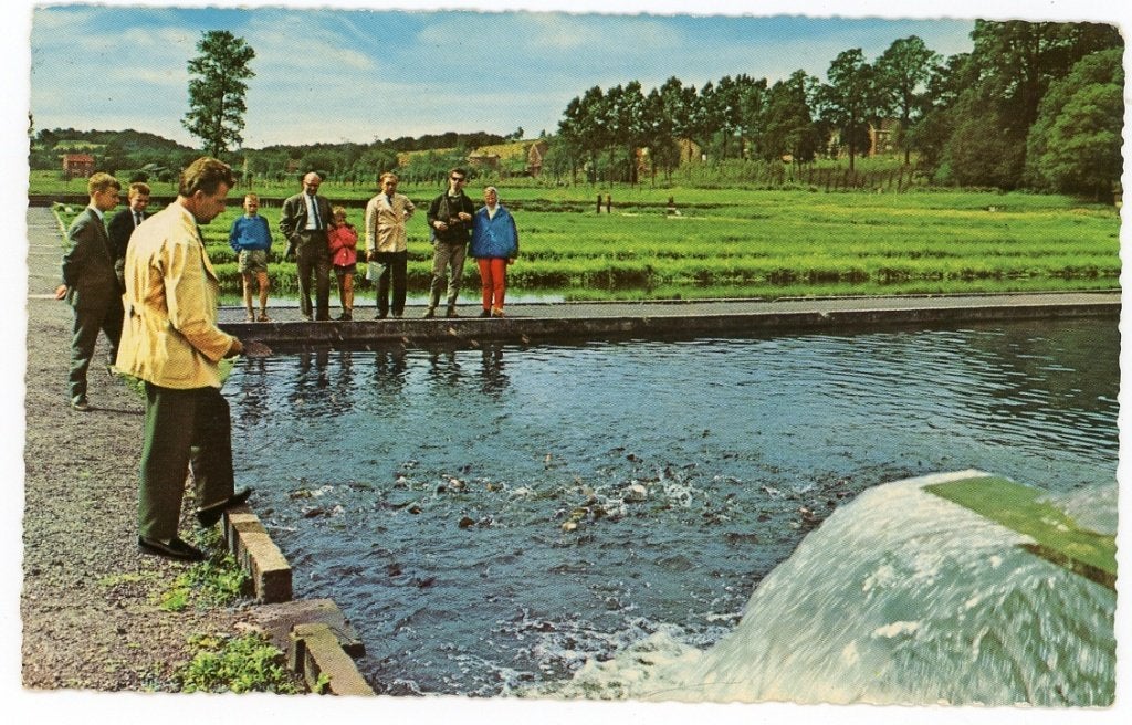 Gulpen, Verzenden, 1940 tot 1960, Gelopen, Limburg