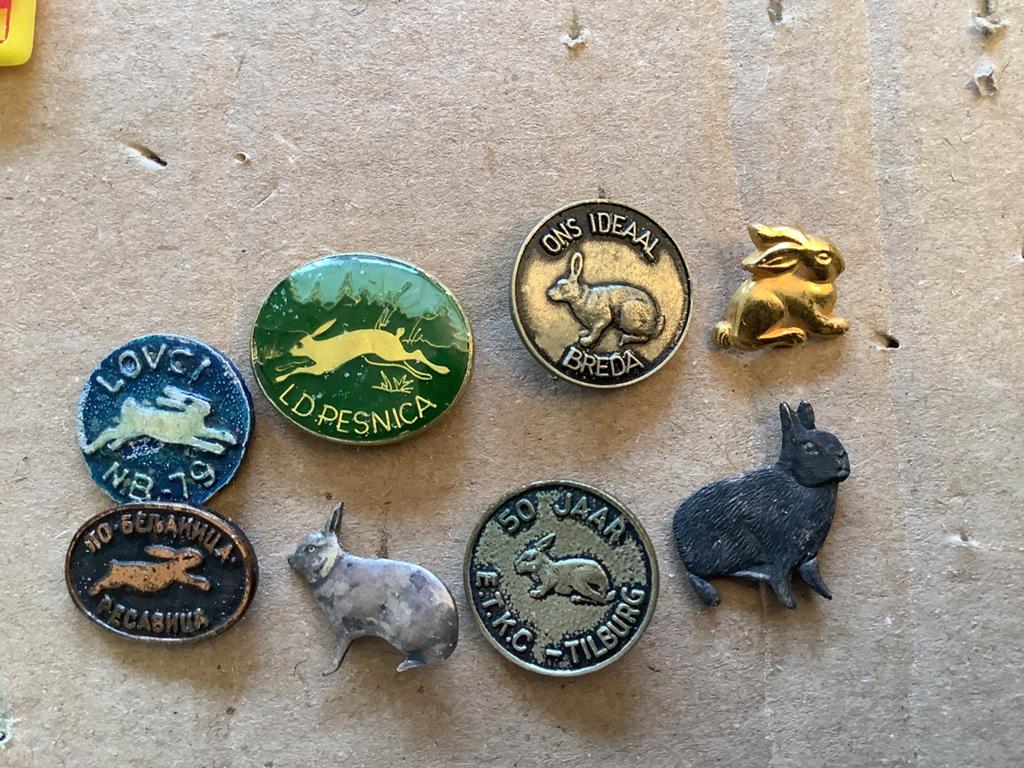 8 speldjes konijnen, Verzamelen, Speldjes, Pins en Buttons, Ophalen of Verzenden, Gebruikt, Overige onderwerpen