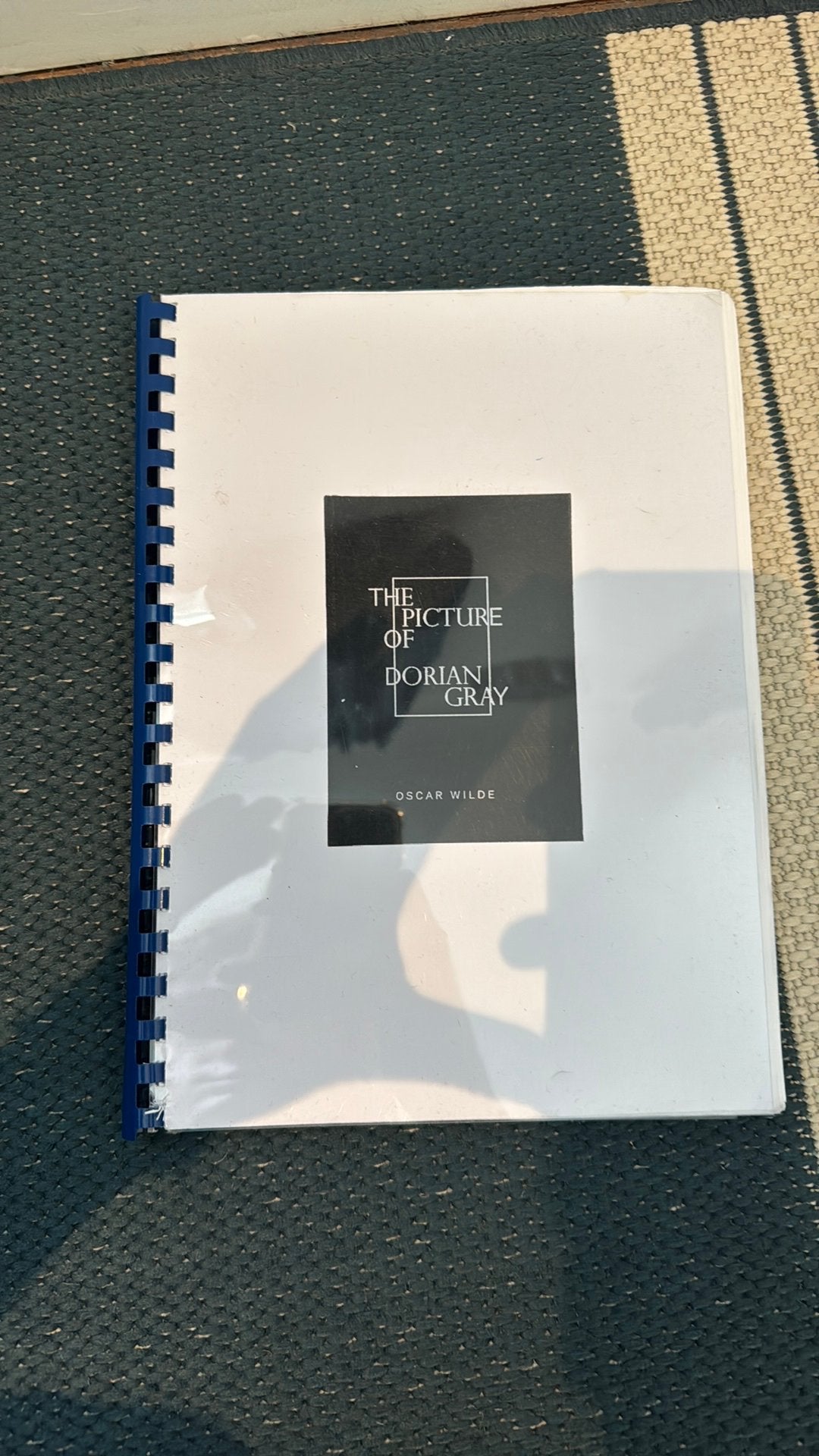 The picture of dorian gray met een paar aantekeningen, Ophalen of Verzenden, Zo goed als nieuw