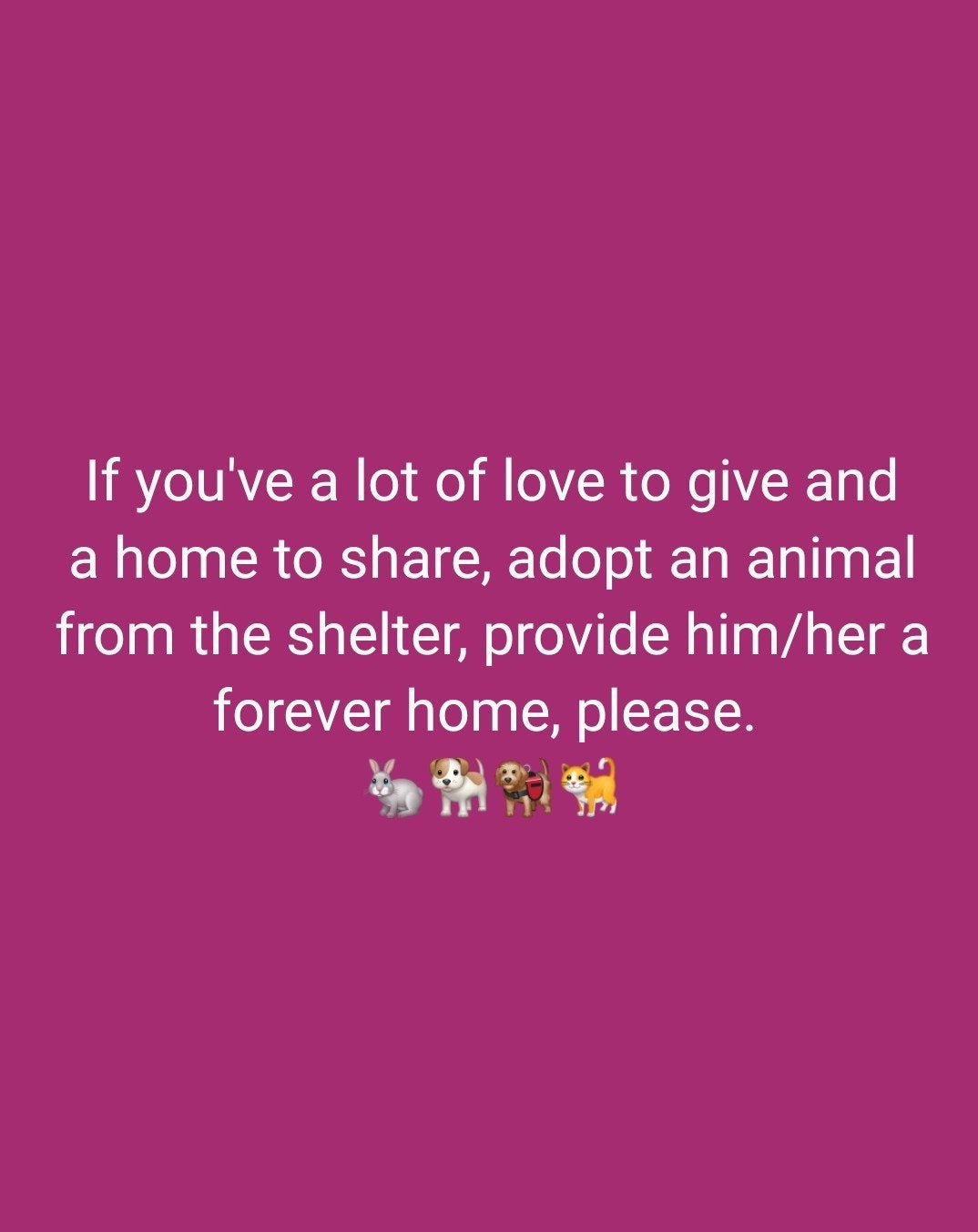 Adopt an animal from the Shelter, Ophalen, Zo goed als nieuw