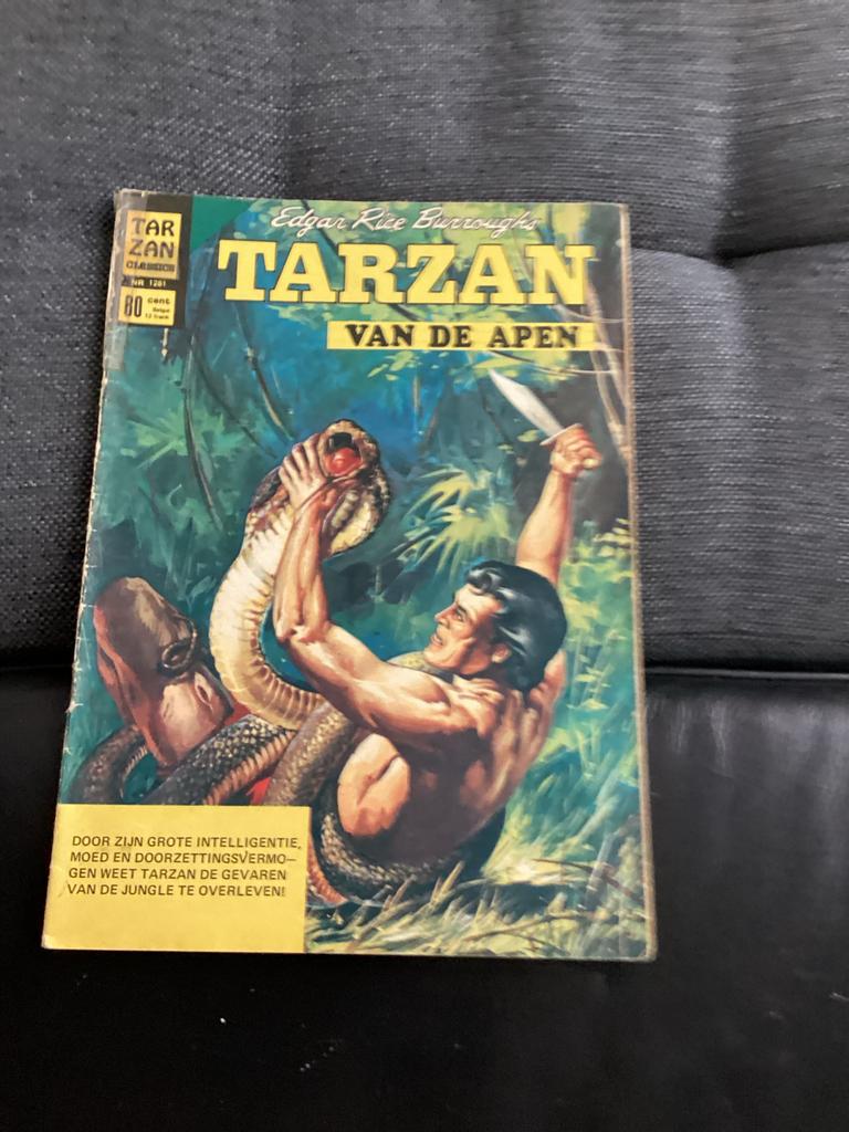 Tarzan van de Apen - Edgar Rice Burroughs stripboek, Boeken, Strips | Comics, Ophalen of Verzenden, Gelezen