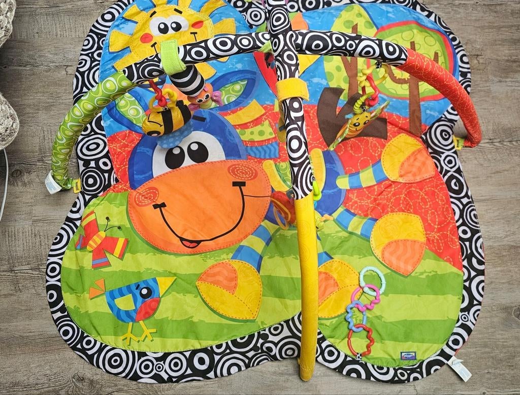 Speelkleed met fleurige muziekvriendjes, Ophalen, Gebruikt