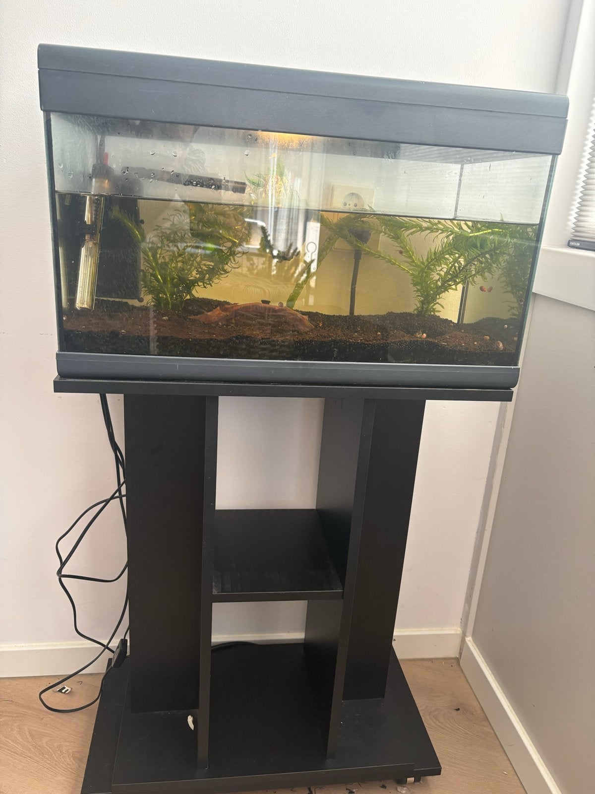 Superfish aquarium 60 l met onderkast, Ophalen, Inclusief deksel, Zo goed als nieuw, Gevuld zoetwateraquarium