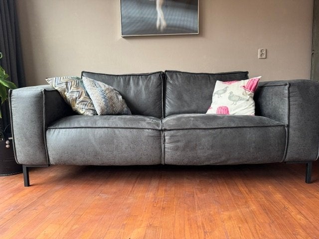 Vegan leather sofa, Ophalen, Overige materialen, Tweepersoons, 75 tot 100 cm
