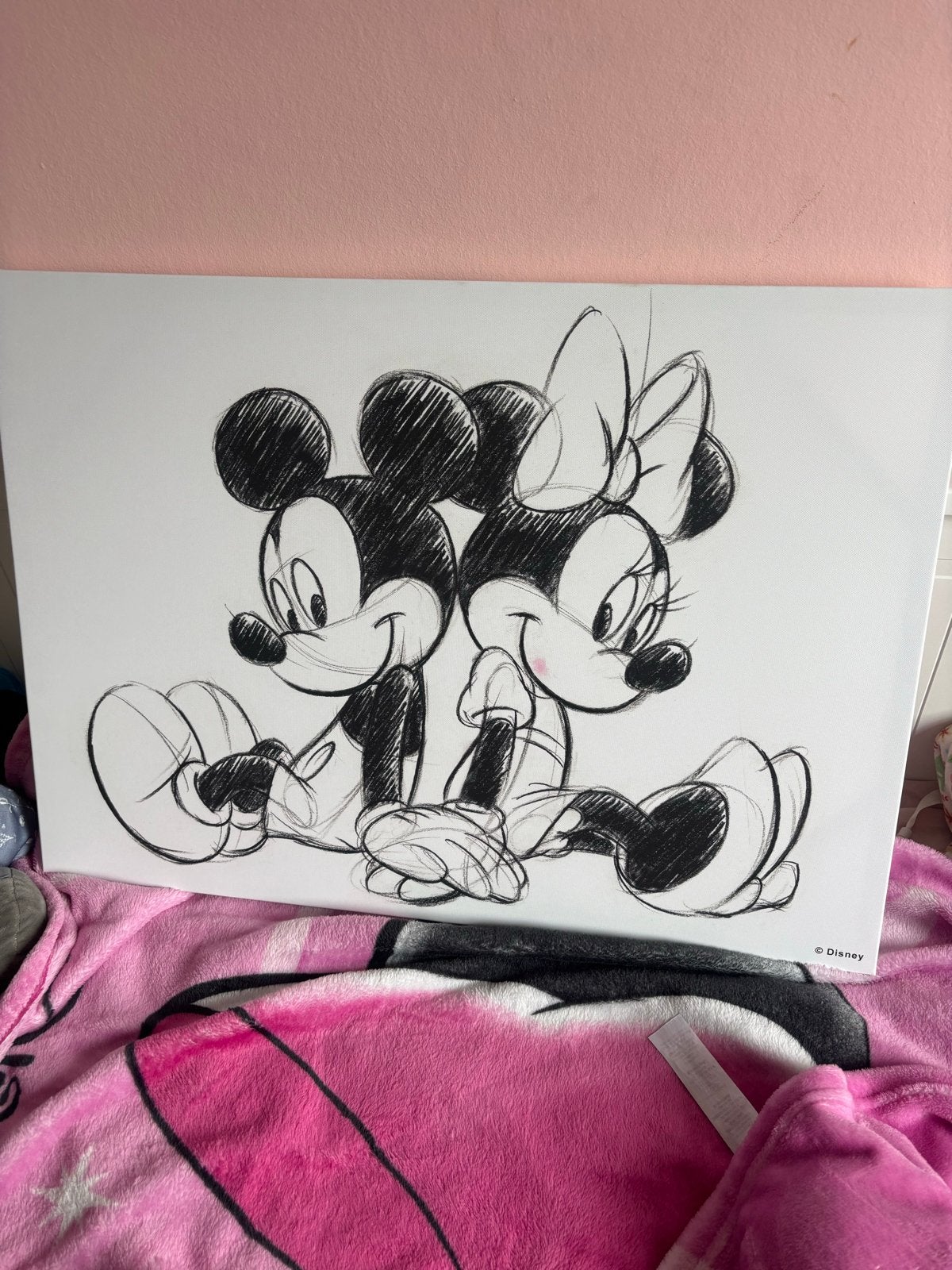 Disney Mickey & Minnie Mouse Canvas - DIY Project, Ophalen, Minder dan 50 cm, Gebruikt, Print