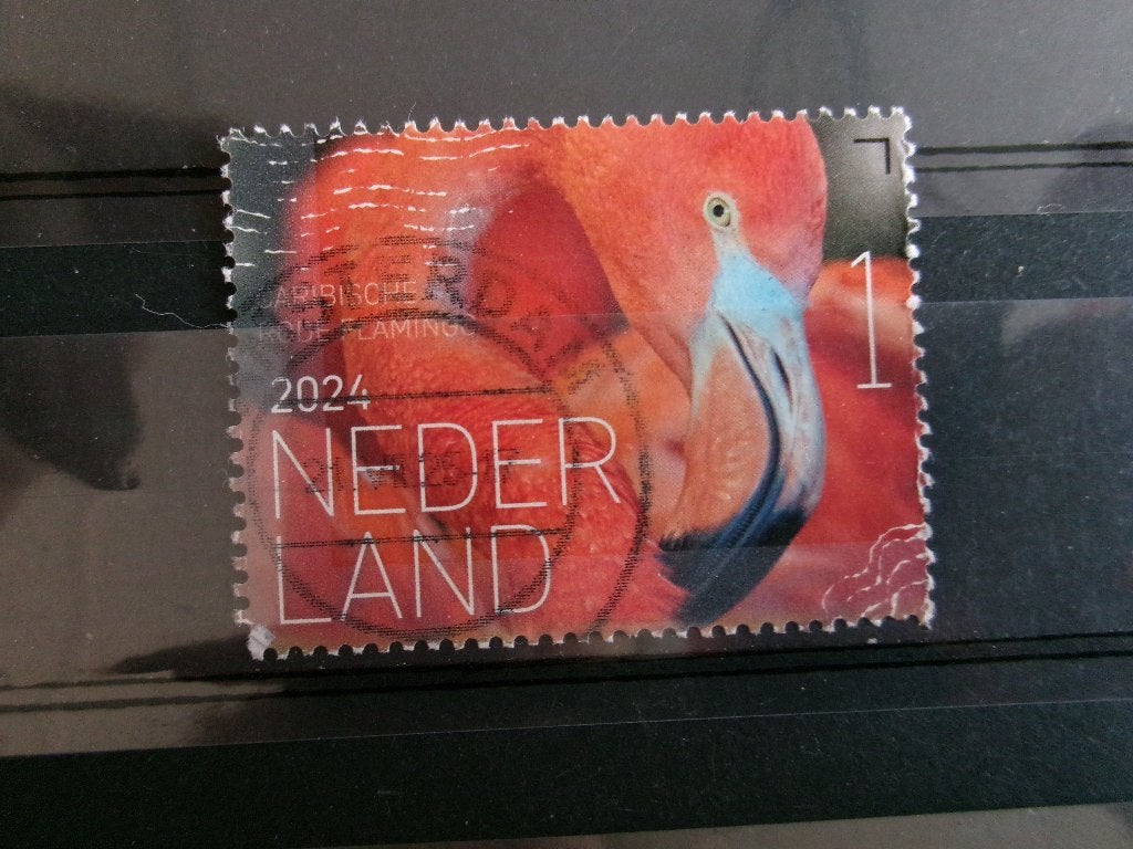 20245 - beleef de natuur rode flamingo (981a), Postzegels en Munten, Ophalen of Verzenden, Gestempeld