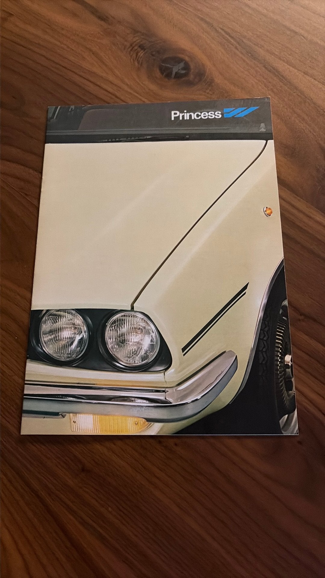Princess brochure, Boeken, Ophalen of Verzenden, Gelezen, Overige merken
