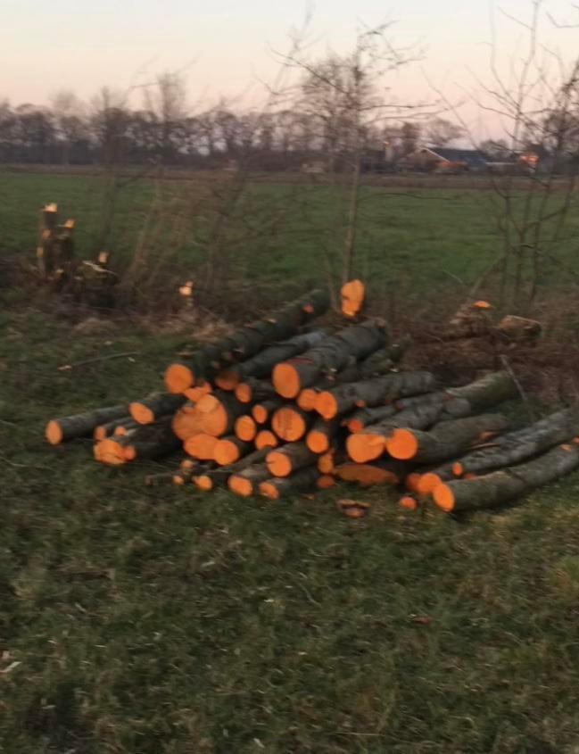 Haardhout, Tuin en Terras, Haardhout, 3 tot 6 m³, Ophalen, Blokken