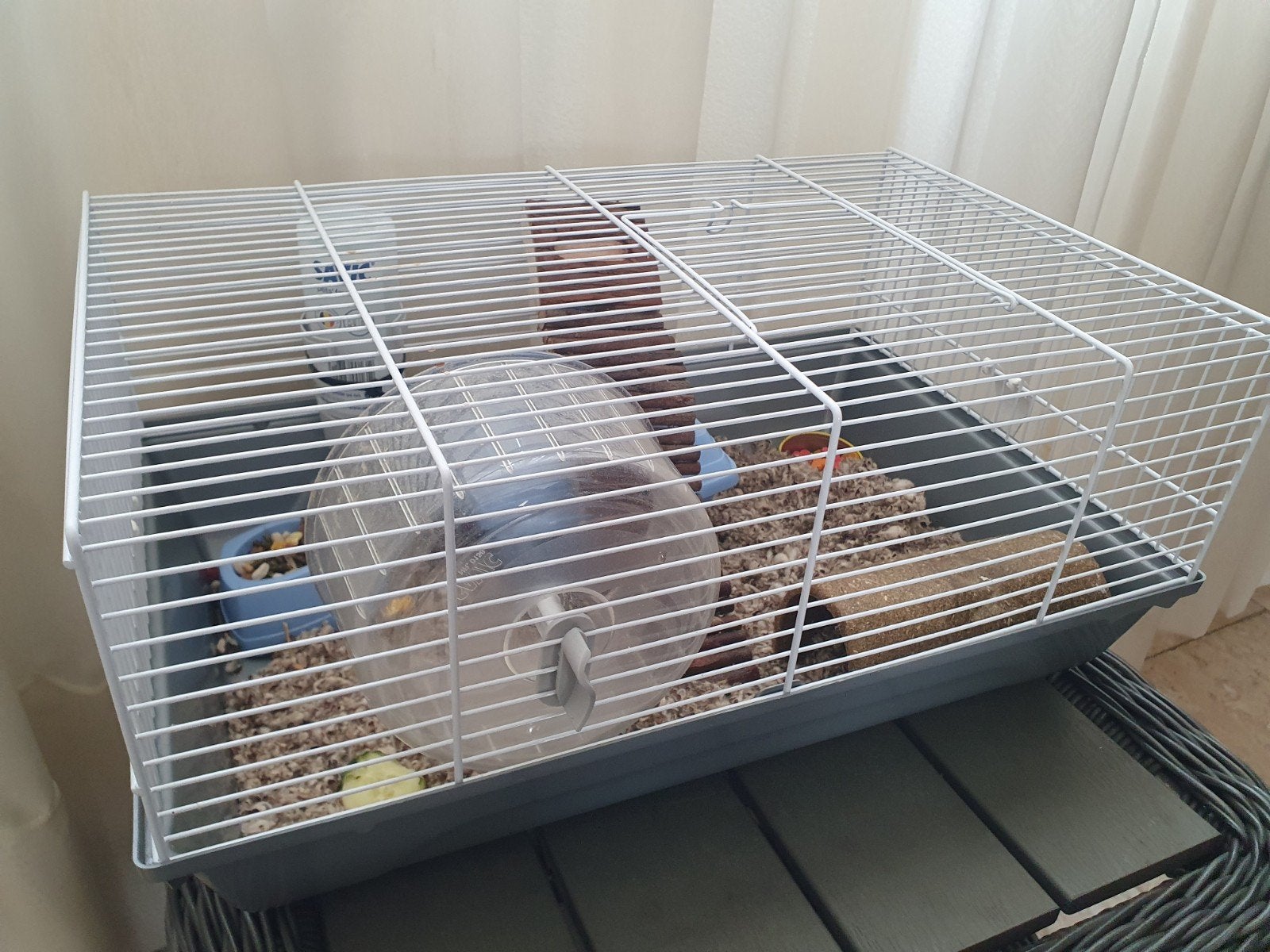 dwerg hamster gratis met kooi en voer de hamster is 8 weken., Minder dan 60 cm, Kooi, Minder dan 75 cm, Ophalen of Verzenden