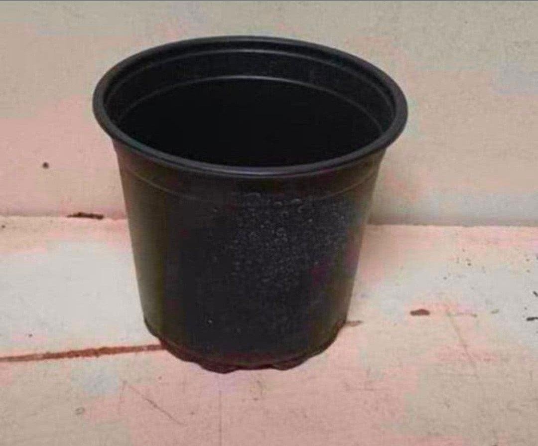 kweekpotten plantenpotten bloempotten 2 liter, Tuin en Terras, Kunststof, Gebruikt, Rond, Ophalen of Verzenden