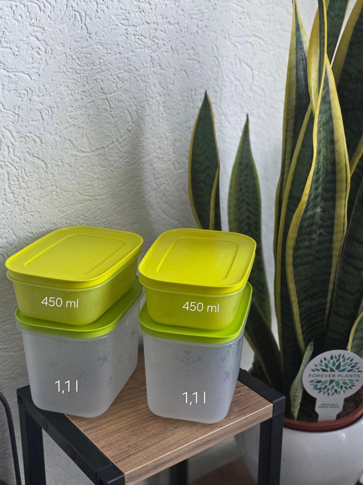 Tupperware Diepvriesdozen - Set van 4 met deksels, Geschikt voor vriezer, Overige kleuren, Bewaardoos, Nieuw