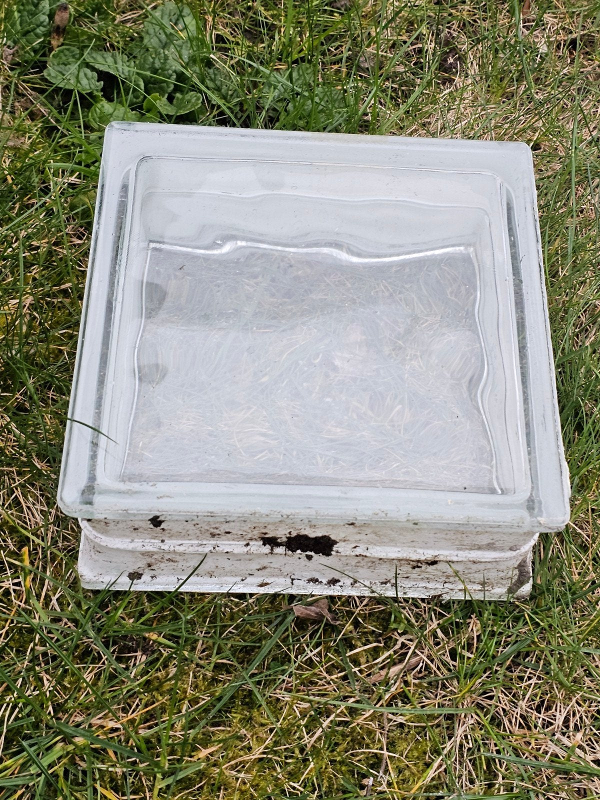 Glazen bouwstenen / Glasblokken, Ophalen, Gebruikt, Minder dan 80 cm, Minder dan 80 cm