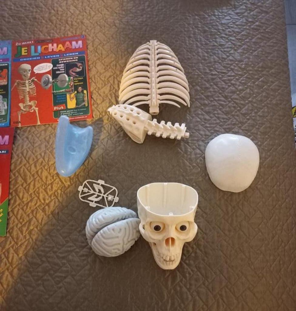 Je Lichaam: Educatieve Set met Boeken en Model, Ophalen of Verzenden, Gebruikt, Taal en Lezen