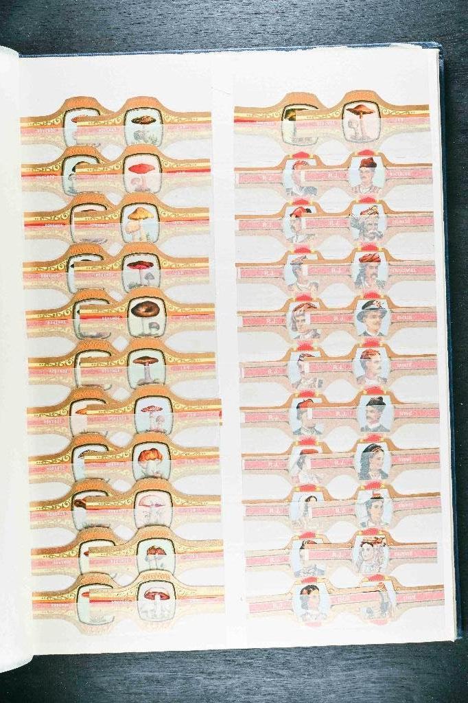 Series sigarenbandjes in insteekalbum van 16 pag. 1960-75, Verzamelen, Ophalen of Verzenden, Zo goed als nieuw, Sigarenbandjes