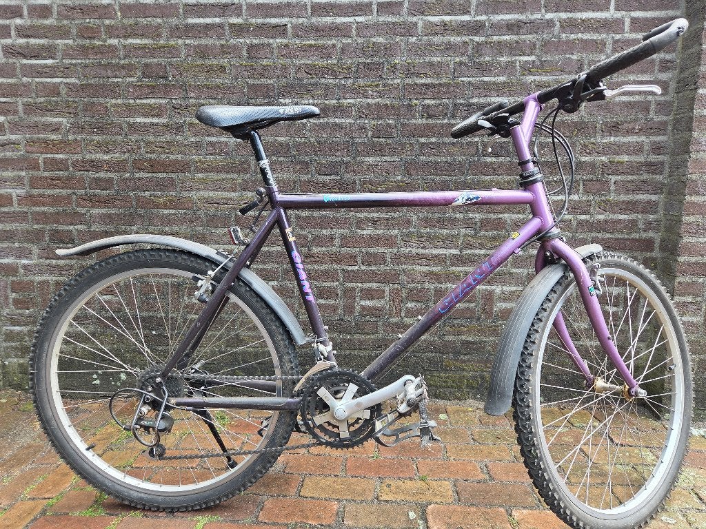 Giant Granite, Ophalen, Gebruikt, Velgrem, Versnellingen