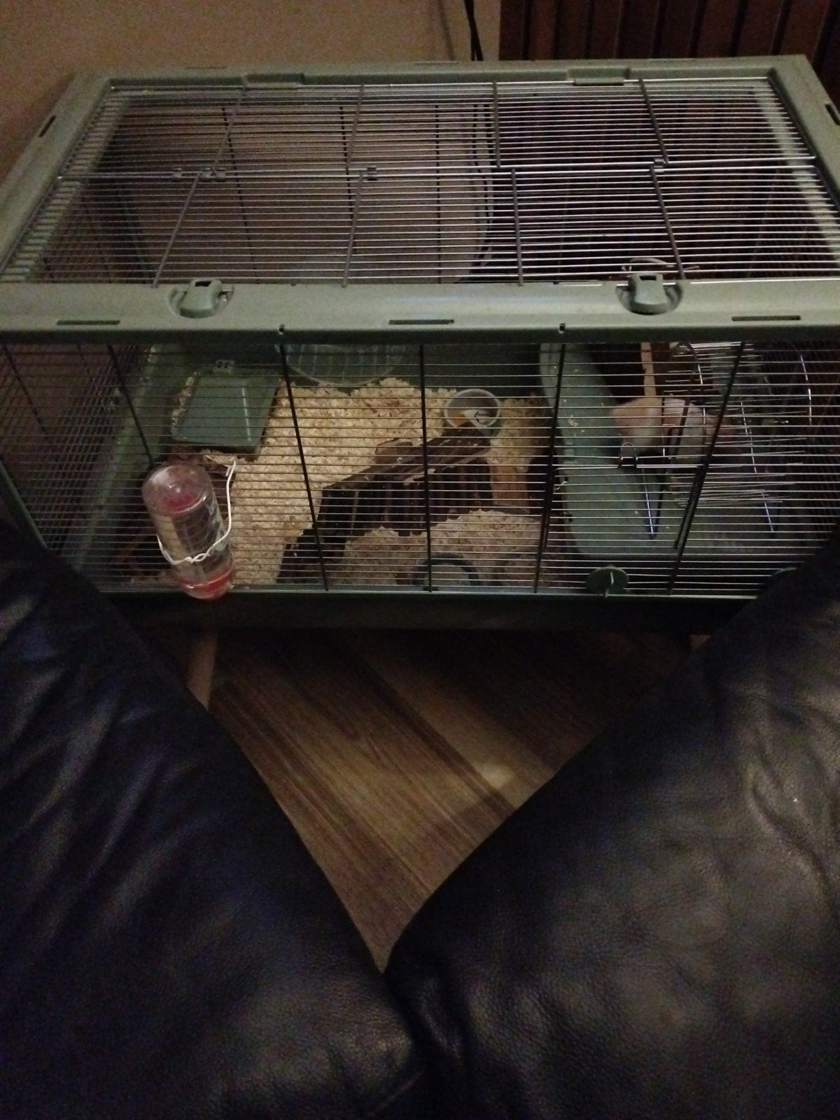 Grote luxe hamsterkooi, Ophalen, Kooi, 60 tot 90 cm, Cavia