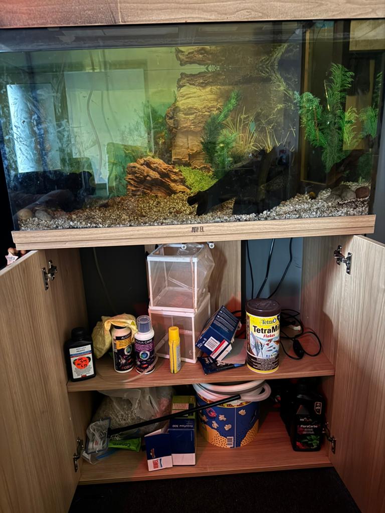 Juwel rio 125, Ophalen of Verzenden, Zo goed als nieuw, Leeg aquarium