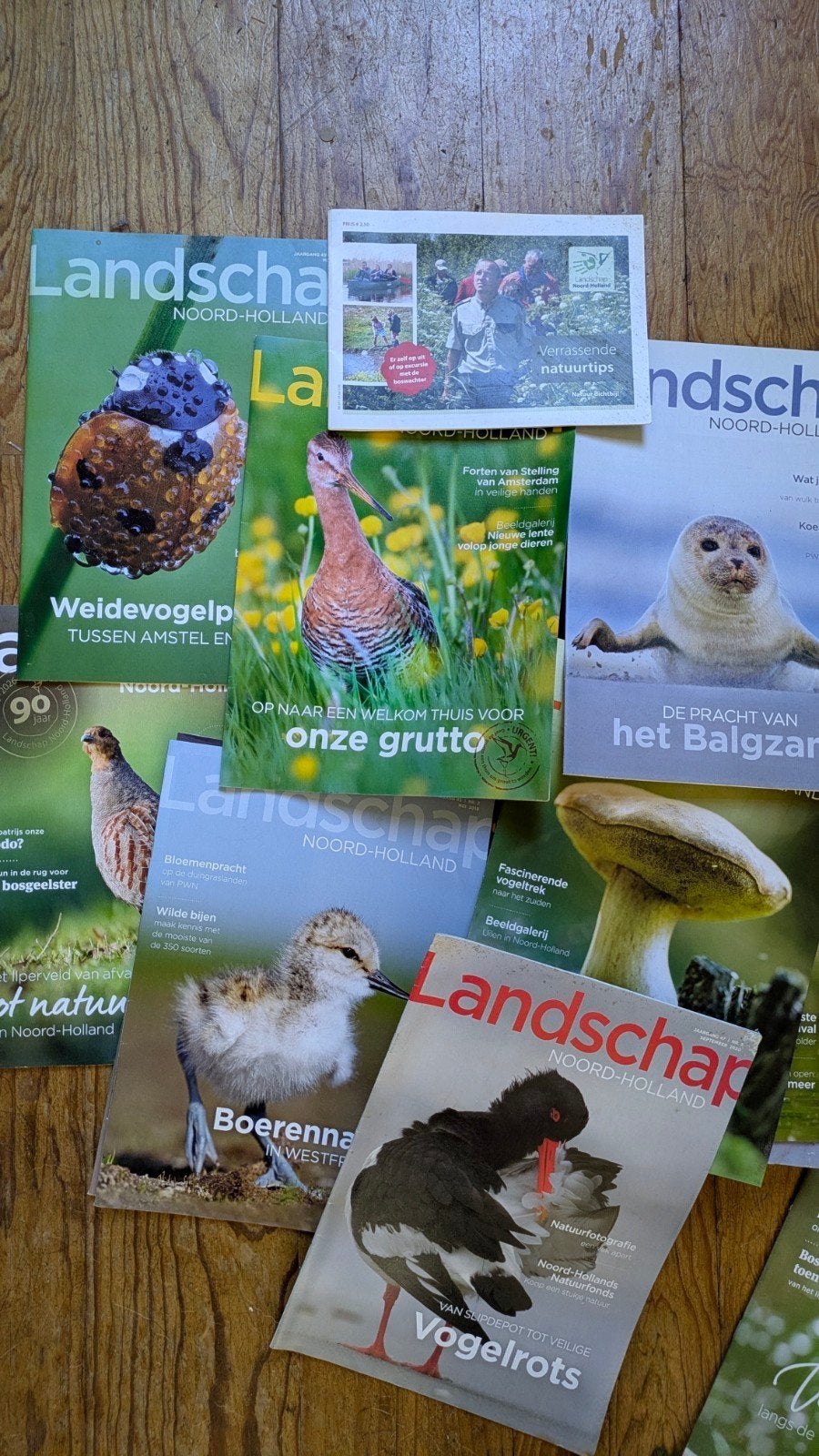 Tijdschrift Landschap Noord Holland, Ophalen