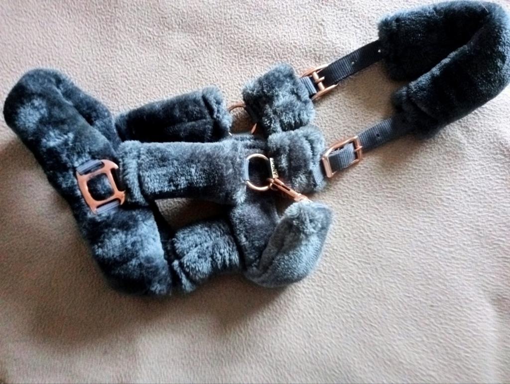 Nieuw blauw pony bont halster, Dieren en Toebehoren, Ophalen of Verzenden, Nieuw, Overige soorten