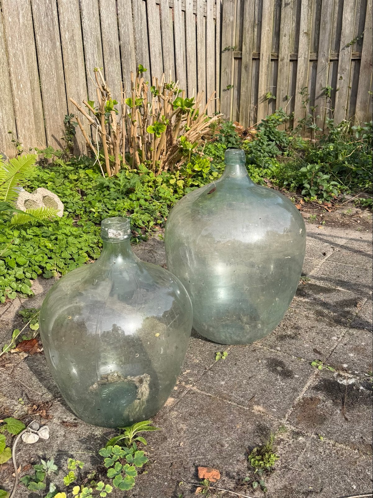 Grote glazen bolflessen (2 stuks), Ophalen