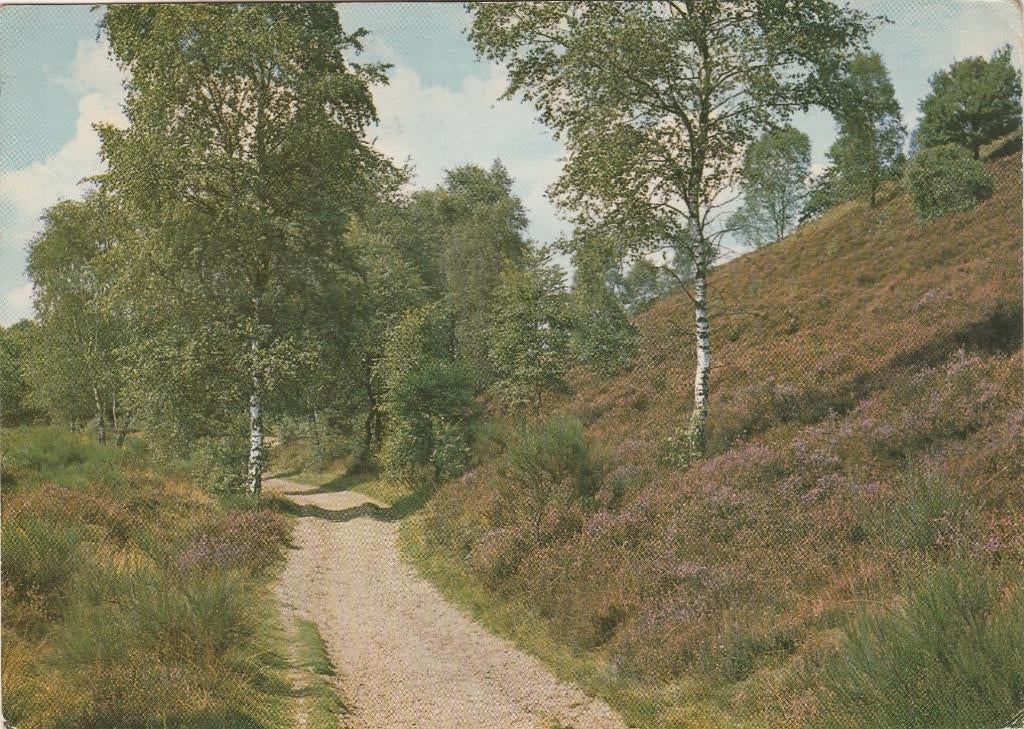 ERMELO Heide, Verzenden, 1960 tot 1980, Gelopen, Gelderland