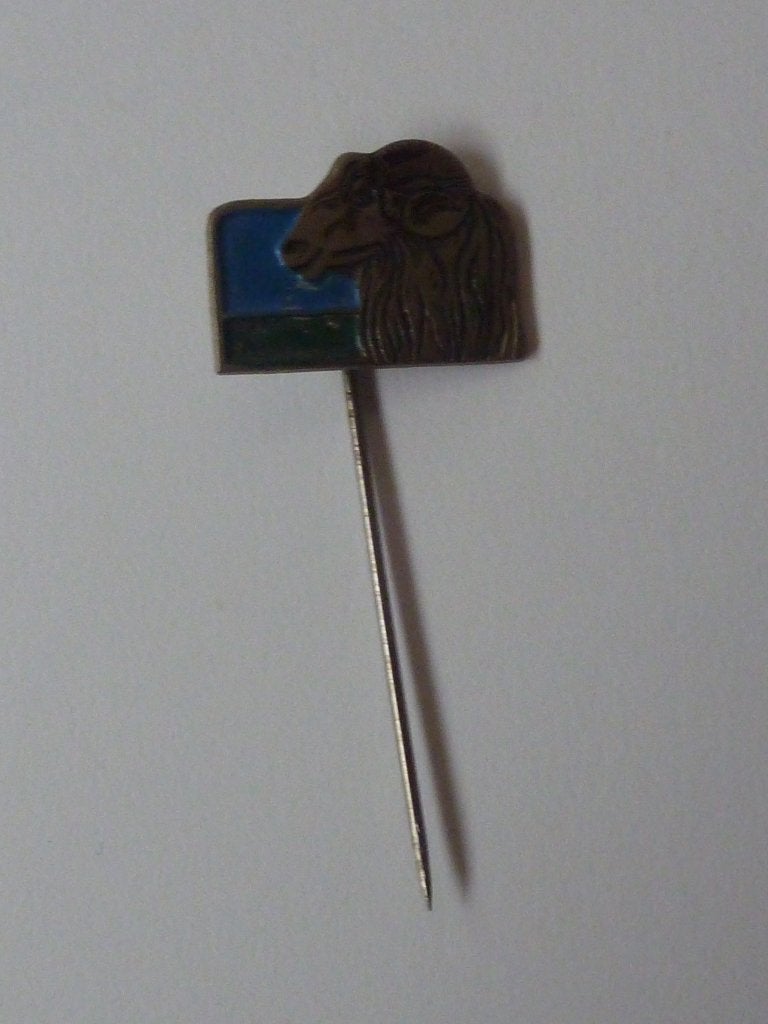 vintage speldje ram, Verzamelen, Ophalen of Verzenden, Gebruikt, Overige onderwerpen