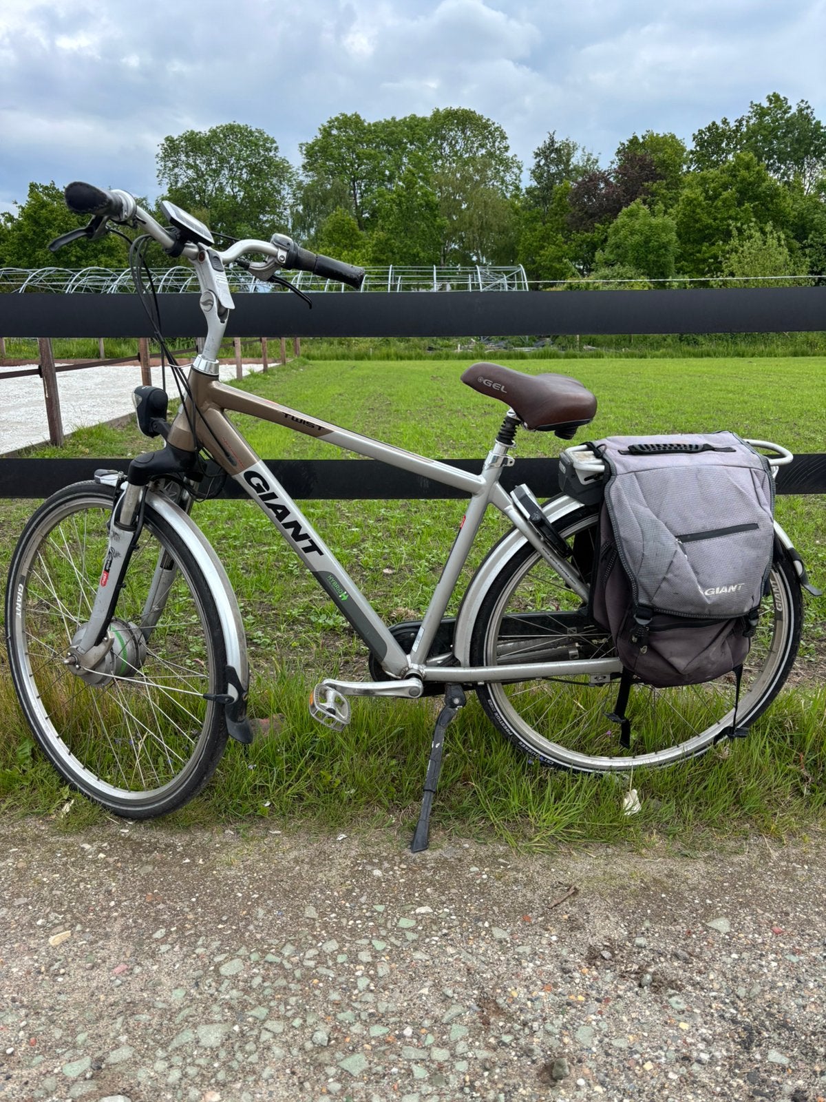Giant Elektrische fiets | ebike | ODO 2000km, Fietsen en Brommers, Fietsen | Dames | Damesfietsen, Zo goed als nieuw, Giant, Ophalen