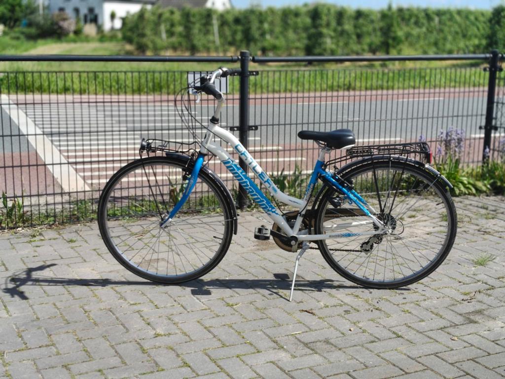 Lombardo Oatler damesfiets, Ophalen, Gebruikt, Overige merken, Versnellingen