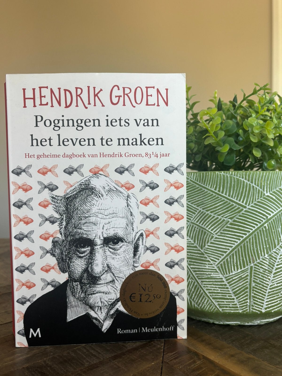 Boek hendrik groen, Ophalen of Verzenden, Nieuw, Verhalen