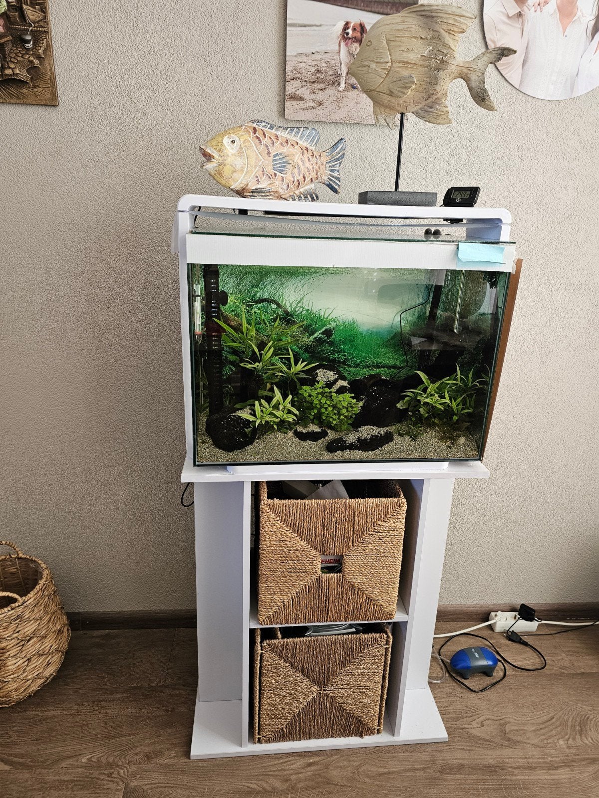 Superfish aquarium HOME 80 met extern filter en meubel., Dieren en Toebehoren, Vissen | Aquaria en Toebehoren, Ophalen, Inclusief vissen
